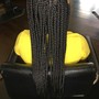 Feed In Braids (Corn Rows)