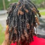 Coil Starter Locs (ear length)