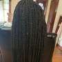 Poetic Justice Braids