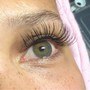 Eyelash Fill - Classic