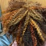 Root Touch Up