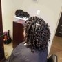 2 strand twist style