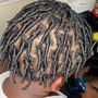 Starter Dreadlocks