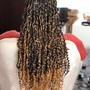 Kids Braids/Styles