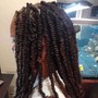 Medium Spring Twists