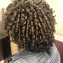 Natural Coils (Short Cuts)