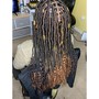 Medium Box Braids- Lower Back