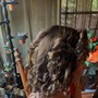 Wand / Barrel Curls