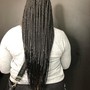 Small/medium Senegalese Twist