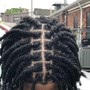 Starter Locs