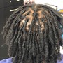 Starter Locs