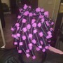 Natural Perm Rods