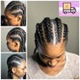 Feed-In Braids