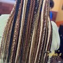 Medium 2 Strand Twists