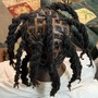 Crochet BOHO Knotless Braids