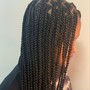 Fulani Braids