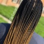 6+ Feeder Braids