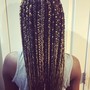 Medium Sized Box Braids