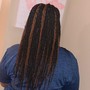 Box Braids/Kinky Twist Takedown