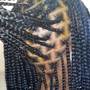 Medium Box Braids