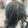 Soft Locs  Butt length