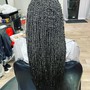 Micro Loc Twist Extensions DOES NOT INCLUDE HAIR (2 day process)