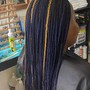 Medium box braids midback length