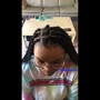 Feed-in Braids