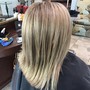 Olaplex Treatment