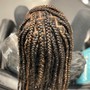 Large Box Braids (past waist)