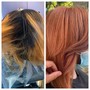 Color Root Touch Up