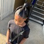 2 Feed In Braids