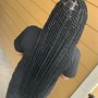 Havana Twists( waist length)