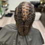 Wig Braid Down