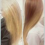 Blonding Retouch/Toner