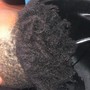 Root Touch Up