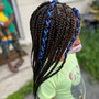 Kid's Braids/Plaits