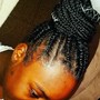 Medium Tribal Braids (Fulani Braids)