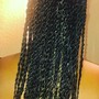 Small Individual Senegalese Twist (mid back)