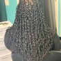 Basic Crochet Braids