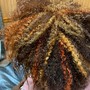 Root Touch Up