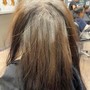 Partial Highlights