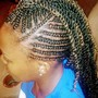 Small Individual Senegalese Twist (mid back)