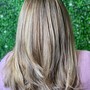 Reverse Balayage|Lowlights