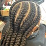 6 Feed-in Braids