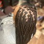 Protective Knotless Single Tree Braids (small full boho)