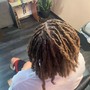 Adult starter locs