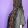 Medium Single Box Braids