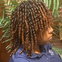 DOUBLE STRAND TWIST