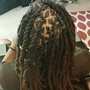 Loc Fade (half head of locs)